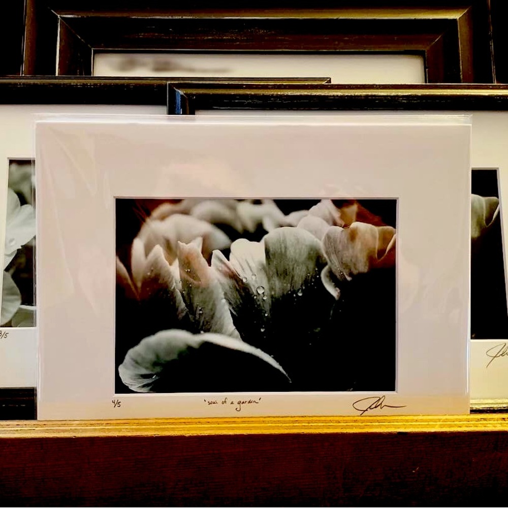 “Soul of a Garden” - limited edition prints - matted, signed and numbered.